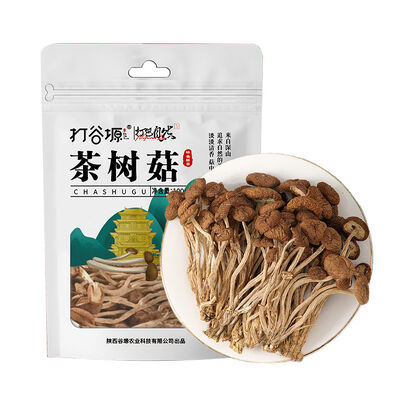 Good price Tea Tree Mushroom 100g  Hand-Trimmed · Sulfur-Free online