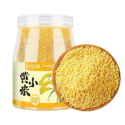 Good price Premium Yellow Millet 800g online