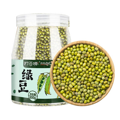 Good price Premium Mung Bean 800g online