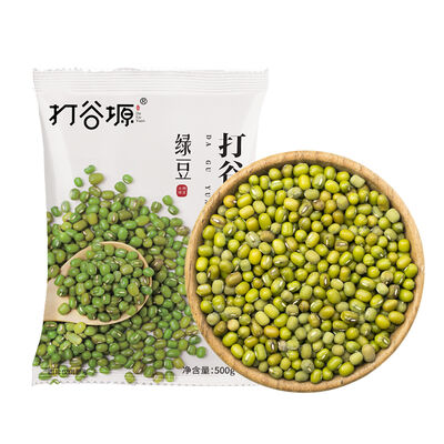 Good price Premium Mung Bean 500g online