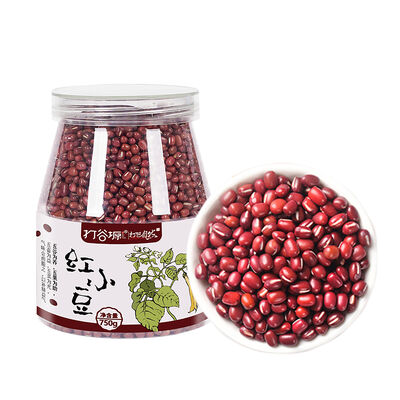 Good price Premium Small Red Bean 750g online