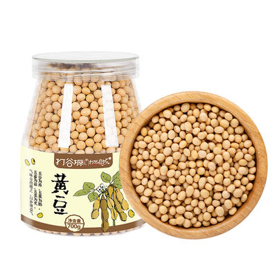 Good price Premium Soybean 700g online