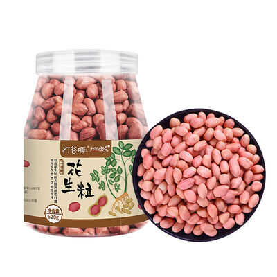 优惠价格 花生粒620g/罐 色泽自然 · 果仁均匀 在线